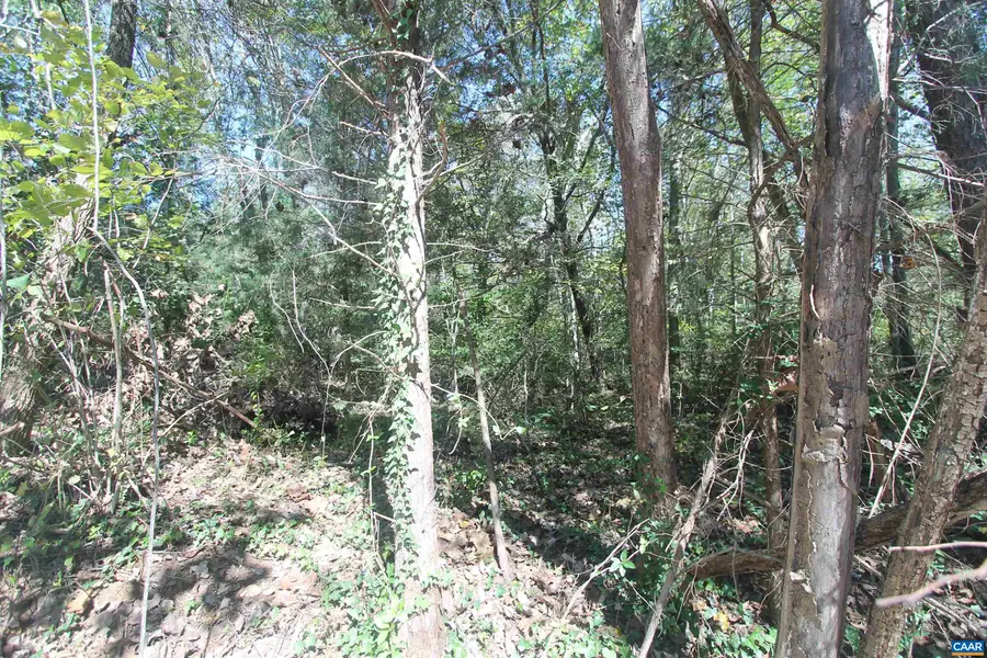 TBD 1 Toco Hl, North Garden, VA 22959 - #2