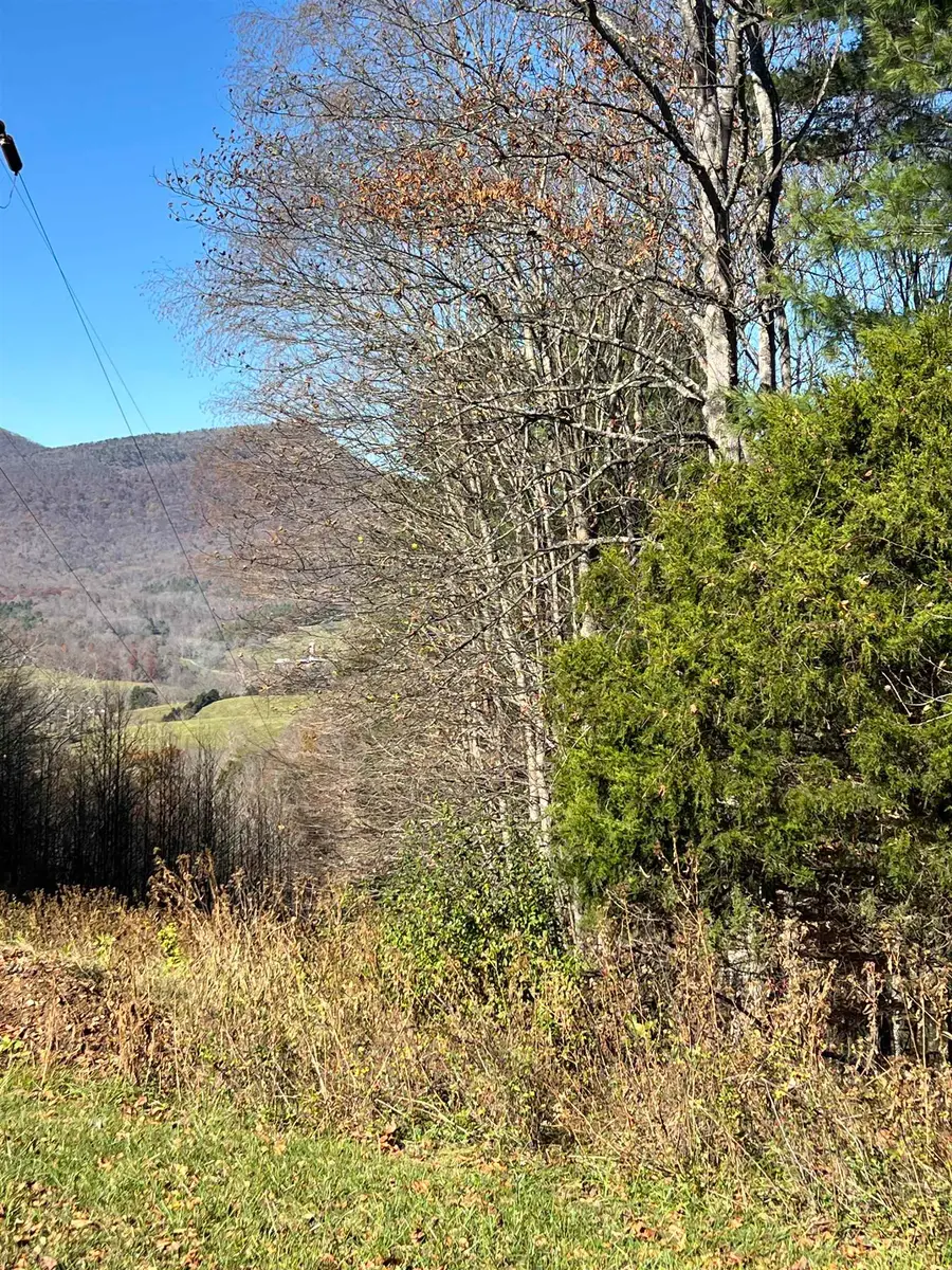 TBD Anderson Farm Rd, Rockbridge Baths, VA 24473 - Image #3