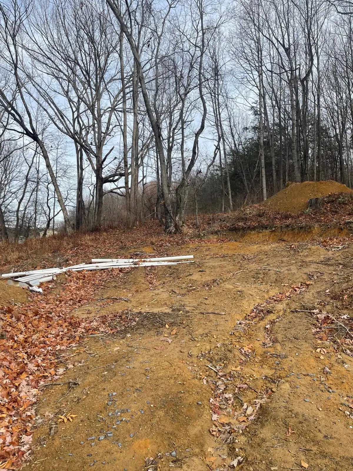 TBD Smokey Row Rd, Staunton, VA 24401 - Image #1