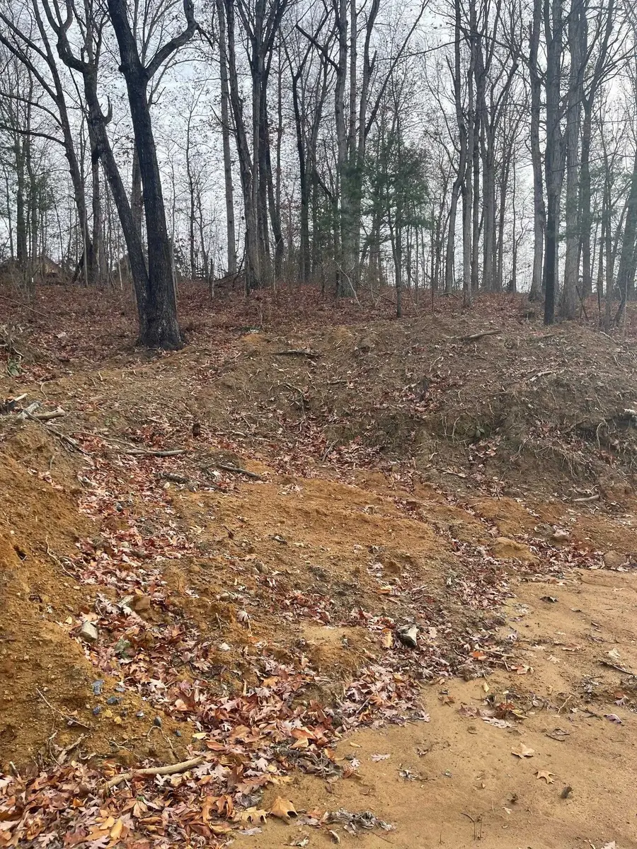 TBD Smokey Row Rd, Staunton, VA 24401 - Image #3