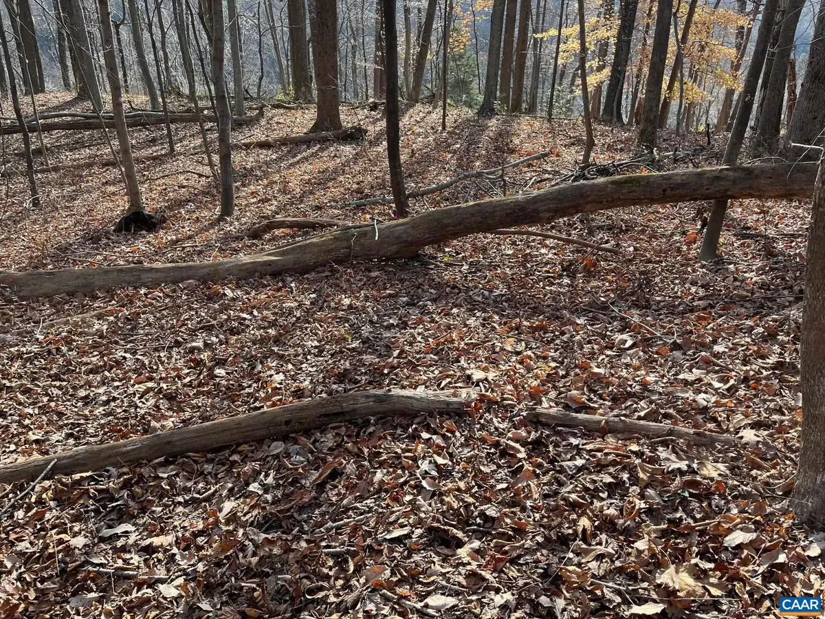 Monacan Trail Rd, Covesville, VA 22931 - #1