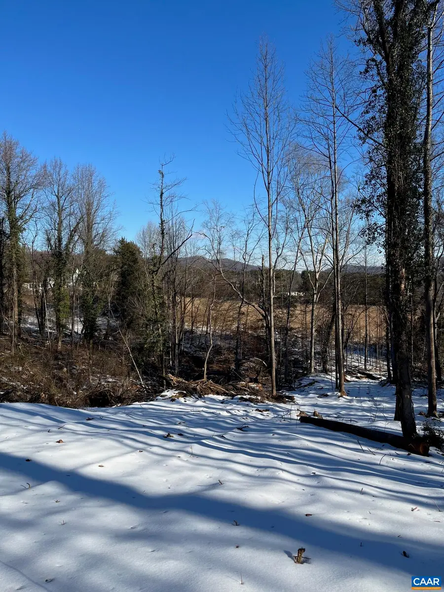 Monacan Trail Rd, Covesville, VA 22931 - #2