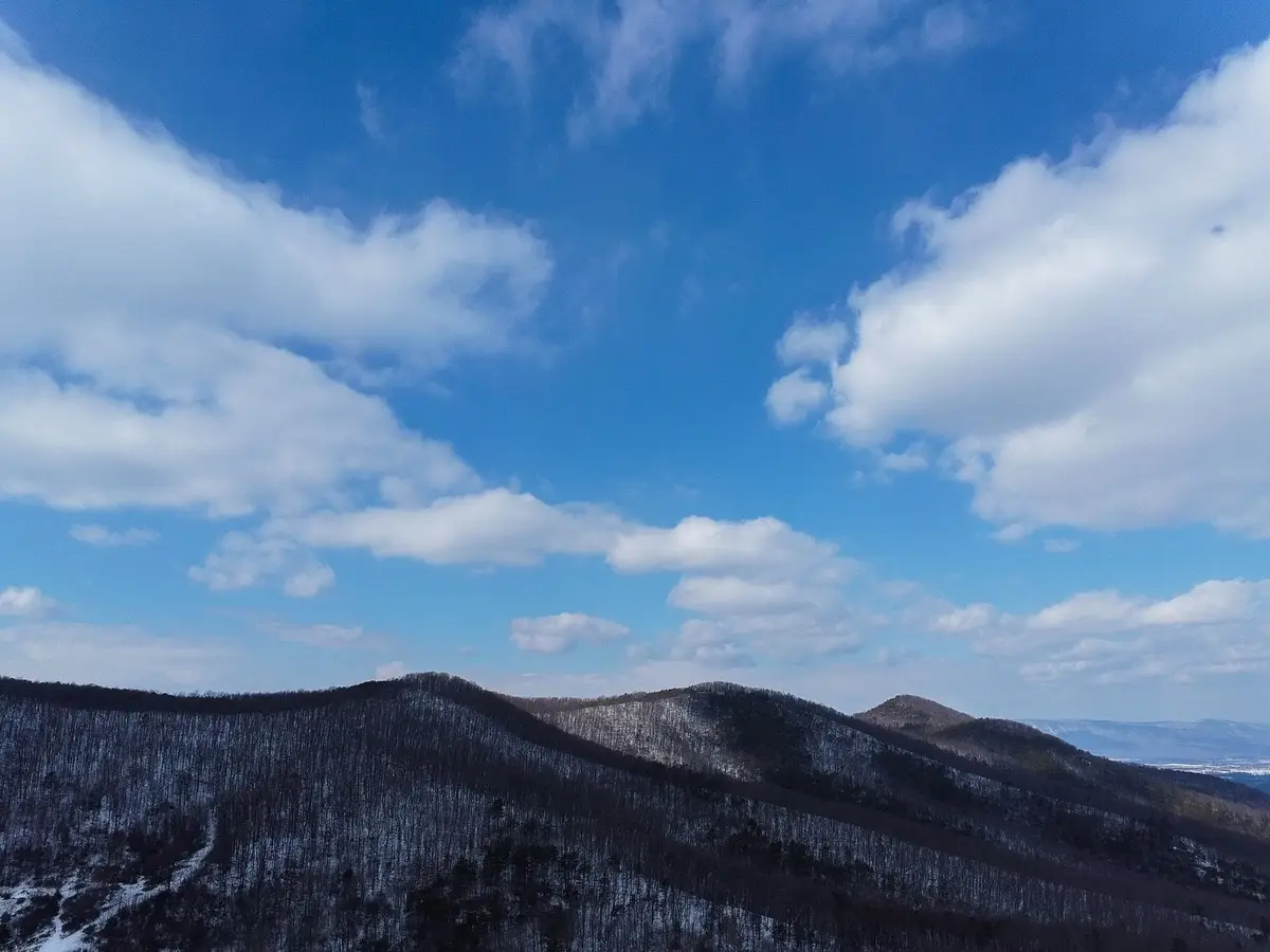 TBD Cubbage Hollow Rd, Stanley, VA 22851 - Image #1