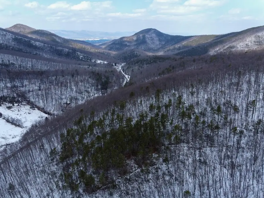 TBD Cubbage Hollow Rd, Stanley, VA 22851 - Image #3