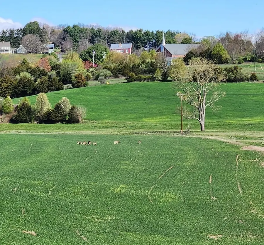 104 Carrsbrook Dr, Staunton, VA 24401 - Image #3