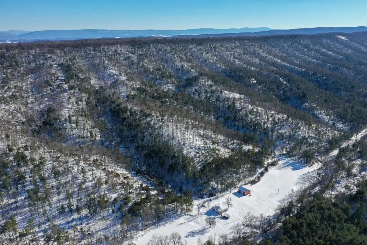 358 County Line Ln, Broadway, VA 22815 - Image #1