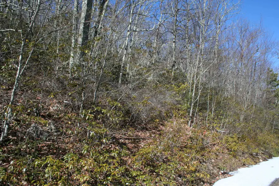 TBD High Valley North, Monterey, VA 24465 - Image #2