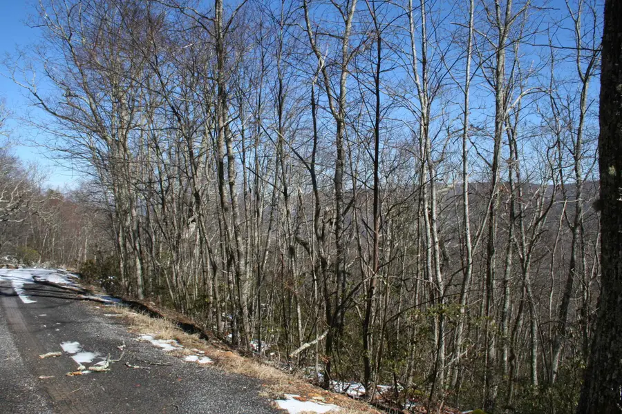 TBD High Valley North, Monterey, VA 24465 - Image #3