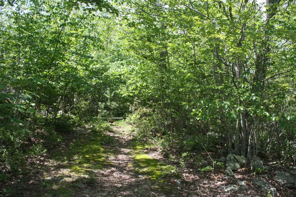 TBD Summit Dr, Monterey, VA 24465 - Image #1