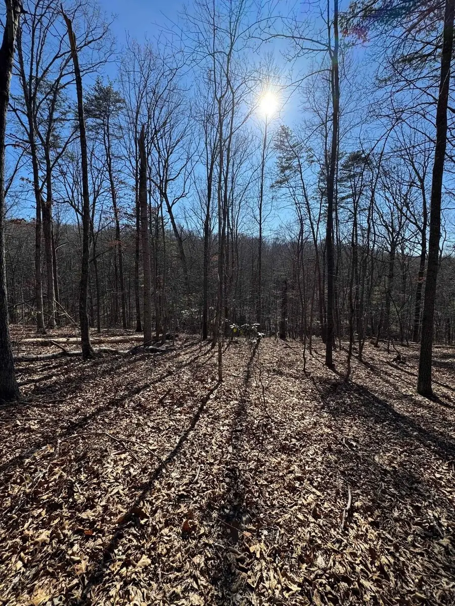 Lot 10 Independence Ln, New Market, VA 22844 - #2