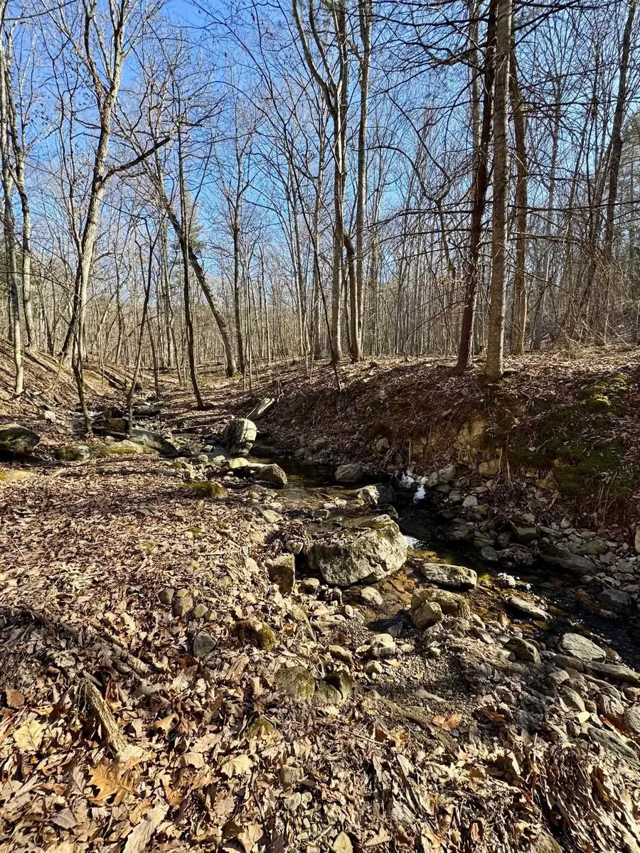 Lot 10 Independence Ln, New Market, VA 22844 - #3