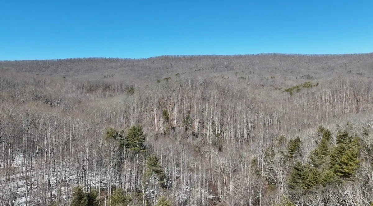 tbd Westminster Rd, Millboro, VA 24460 - Image #1