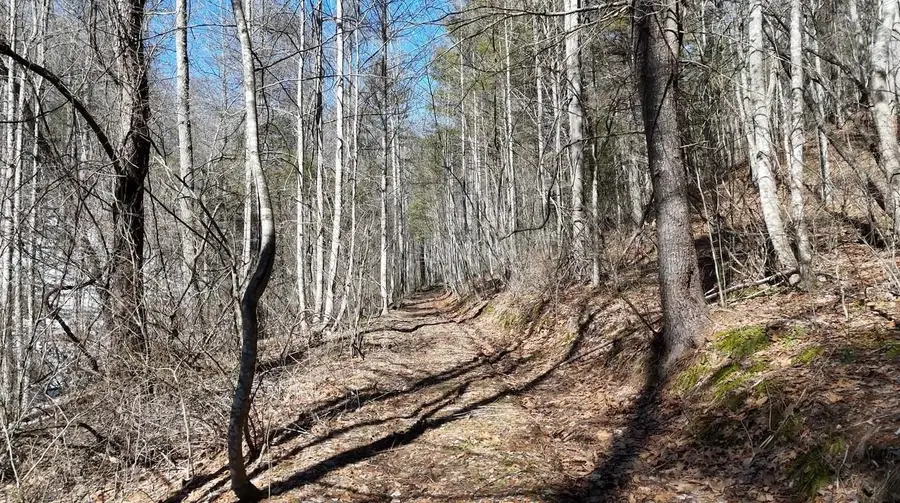 tbd Westminster Rd, Millboro, VA 24460 - Image #2