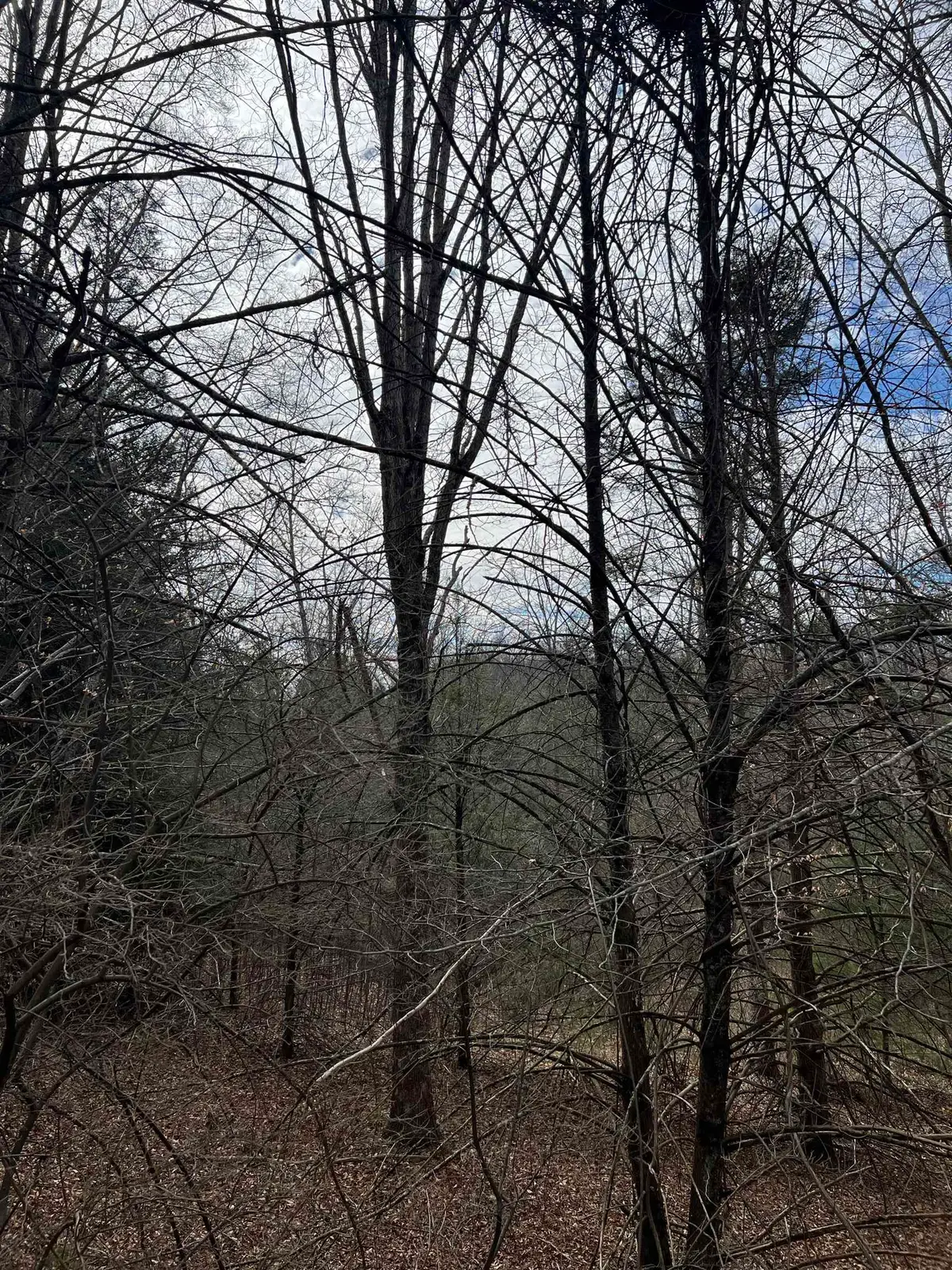 TBd Cold Springs Rd, Raphine, VA 24472 - Image #1