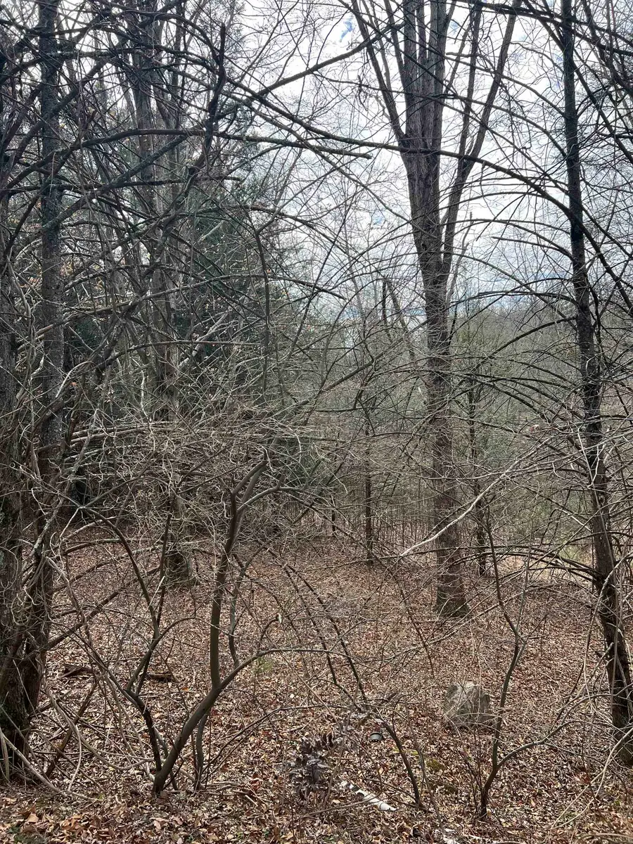 TBd Cold Springs Rd, Raphine, VA 24472 - Image #3