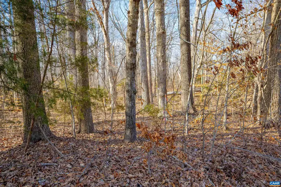 TBD Redd Shop Rd, Farmville, VA 23901 - Image #2