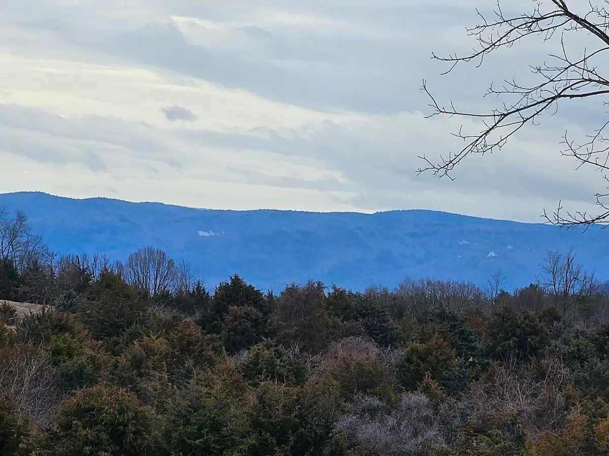 Lot 5 Berry Farm Rd, Staunton, VA 24401 - Image #1