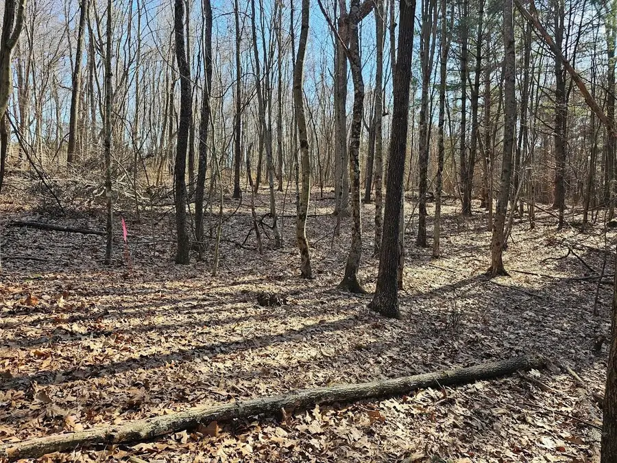 Lot 1 Revised Berry Farm Rd, Staunton, VA 24401 - Image #3