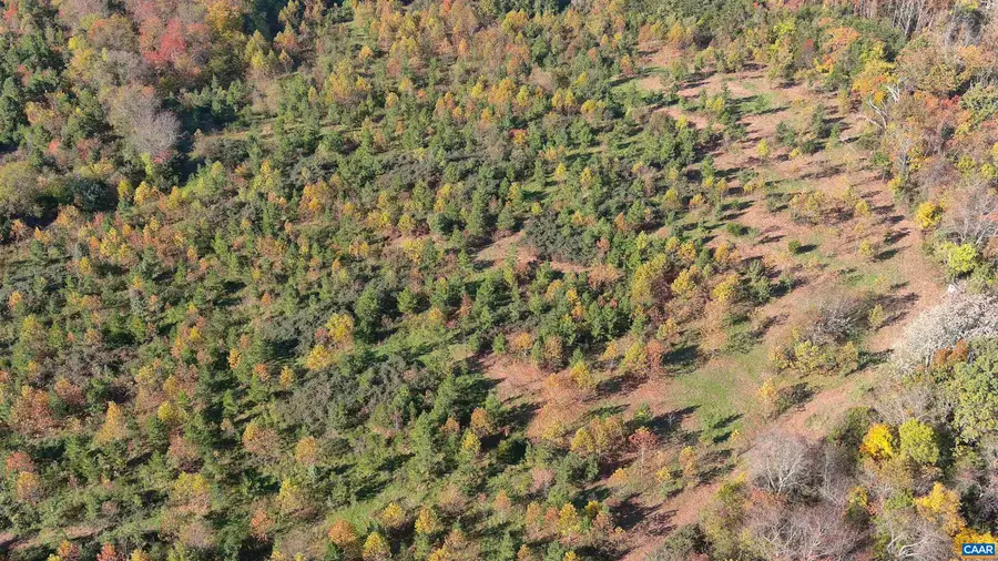 TBD Old Barboursville Rd, Gordonsville, VA 22942 - Image #3