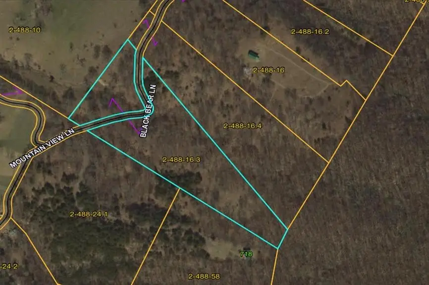 0 Black Bear Ln, Mathias, WV 26812 - #1