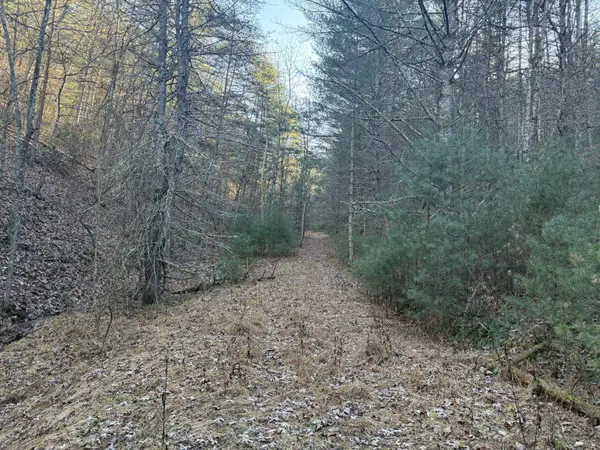 21 acres Buck Hill Ln, Sugar Grove, WV 26815