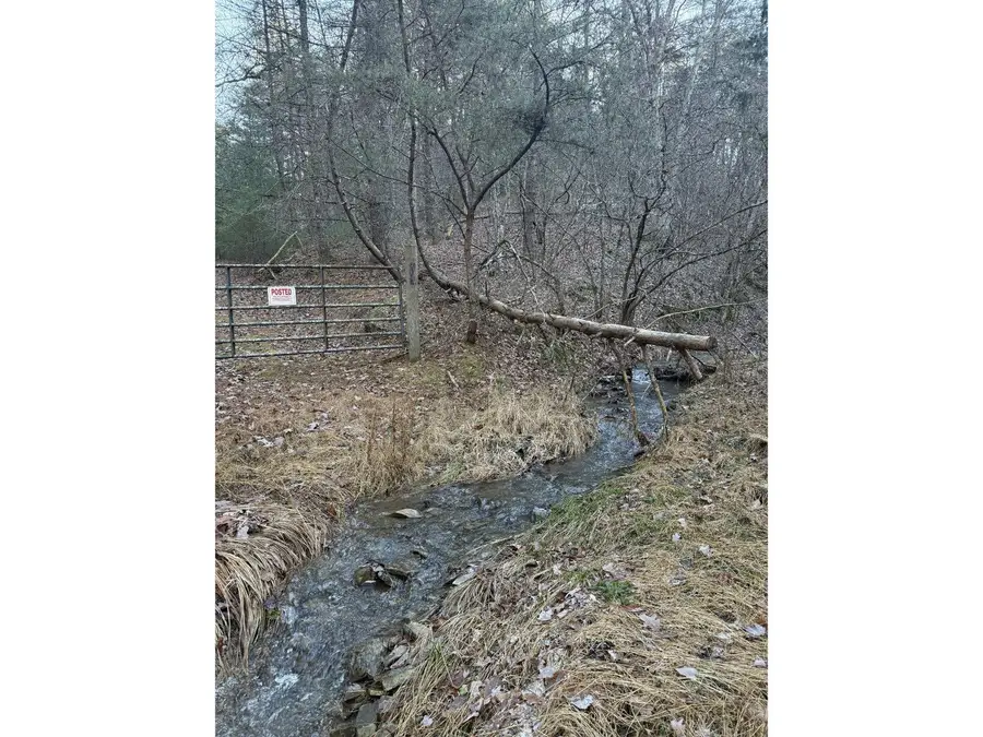 21 acres Buck Hill Ln, Sugar Grove, WV 26815 - Image #3