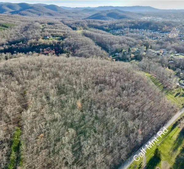 TBD Calf Mountain Rd, Waynesboro, VA 22980