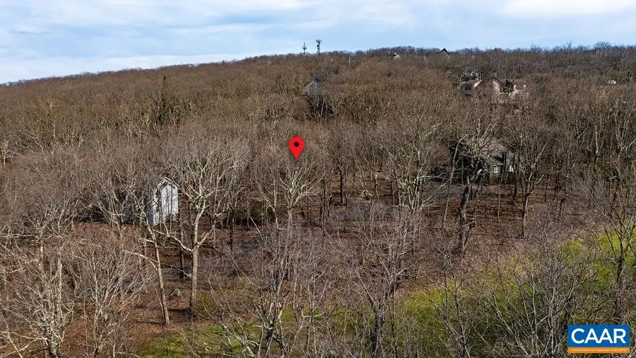 116 East Catoctin Dr, Wintergreen Resort, VA 22967 - Image #3