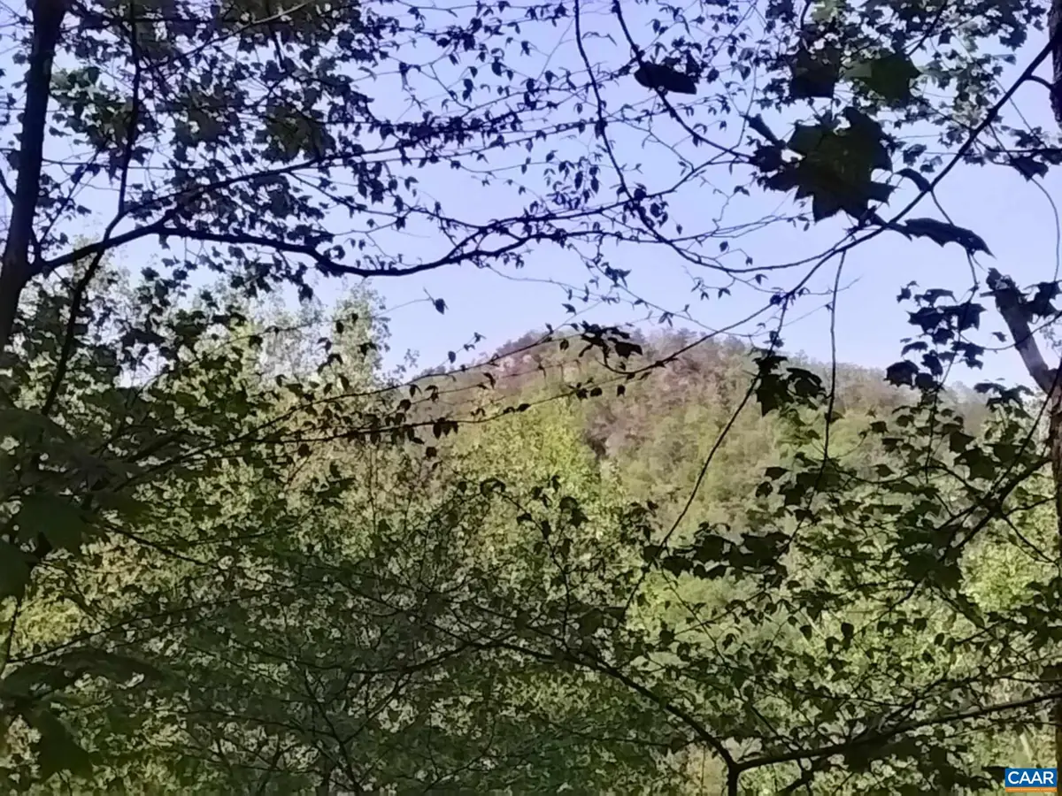 TBD Old Blue Ridge Tpke, Syria, VA 22743 - #1