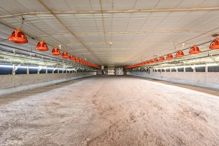 5928 Kratzer Rd, Linville, VA 22834 - Image #2