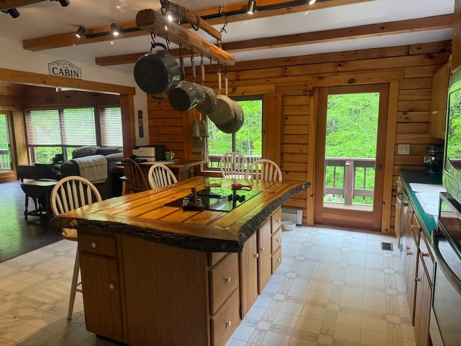 178 Trails End Ln, Warm Springs, VA 24484 - #2