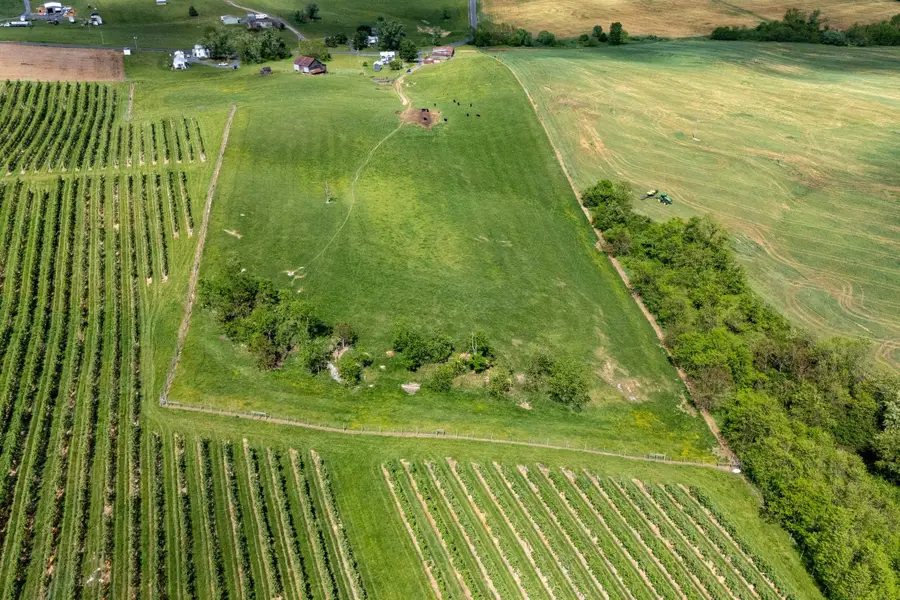 TBD Vetters Rd, Timberville, VA 22853 - Image #3