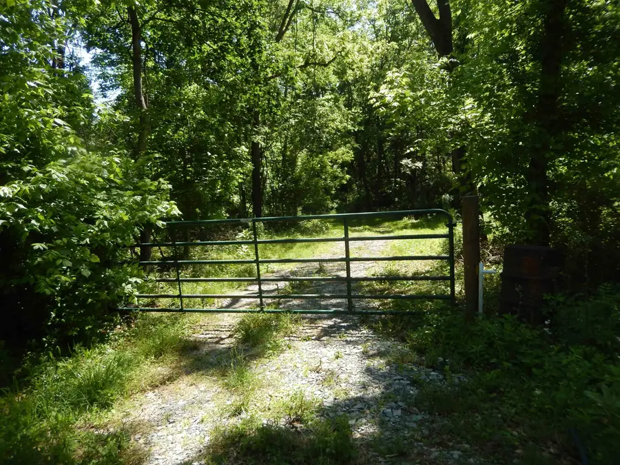 000 Mt Paran Church Rd, Elkton, VA 22827 - Image #2