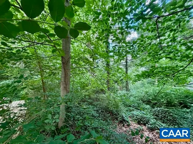 1426 Dairy Rd, Charlottesville, VA 22903 - Image #3