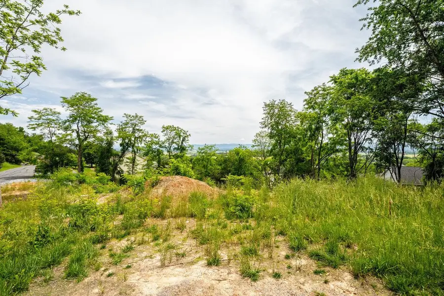 TBD Valley View Dr, Mount Sidney, VA 24467 - Image #3