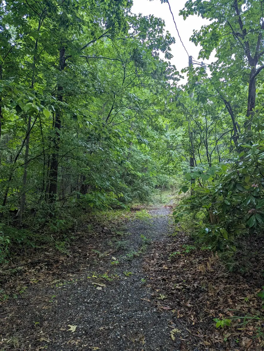 78 Gra Mar Ln, Stuarts Draft, VA 24477 - Image #2