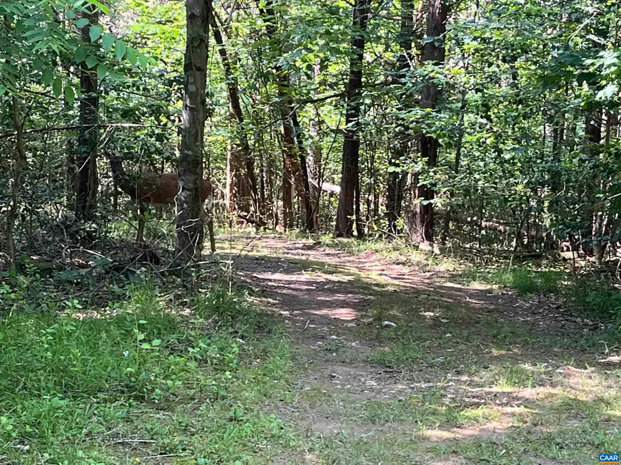 5878A Buffalo River Rd, Earlysville, VA 22936 - #2
