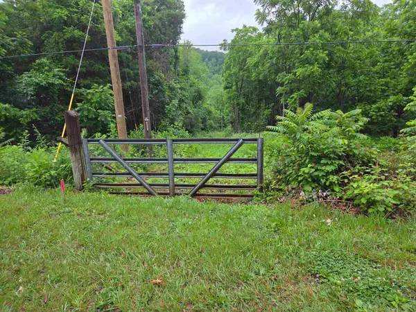 900 Sandy Bottom Rd, Elkton, VA 22827