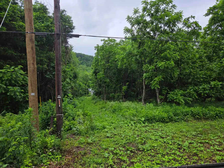 900 Sandy Bottom Rd, Elkton, VA 22827 - Image #3