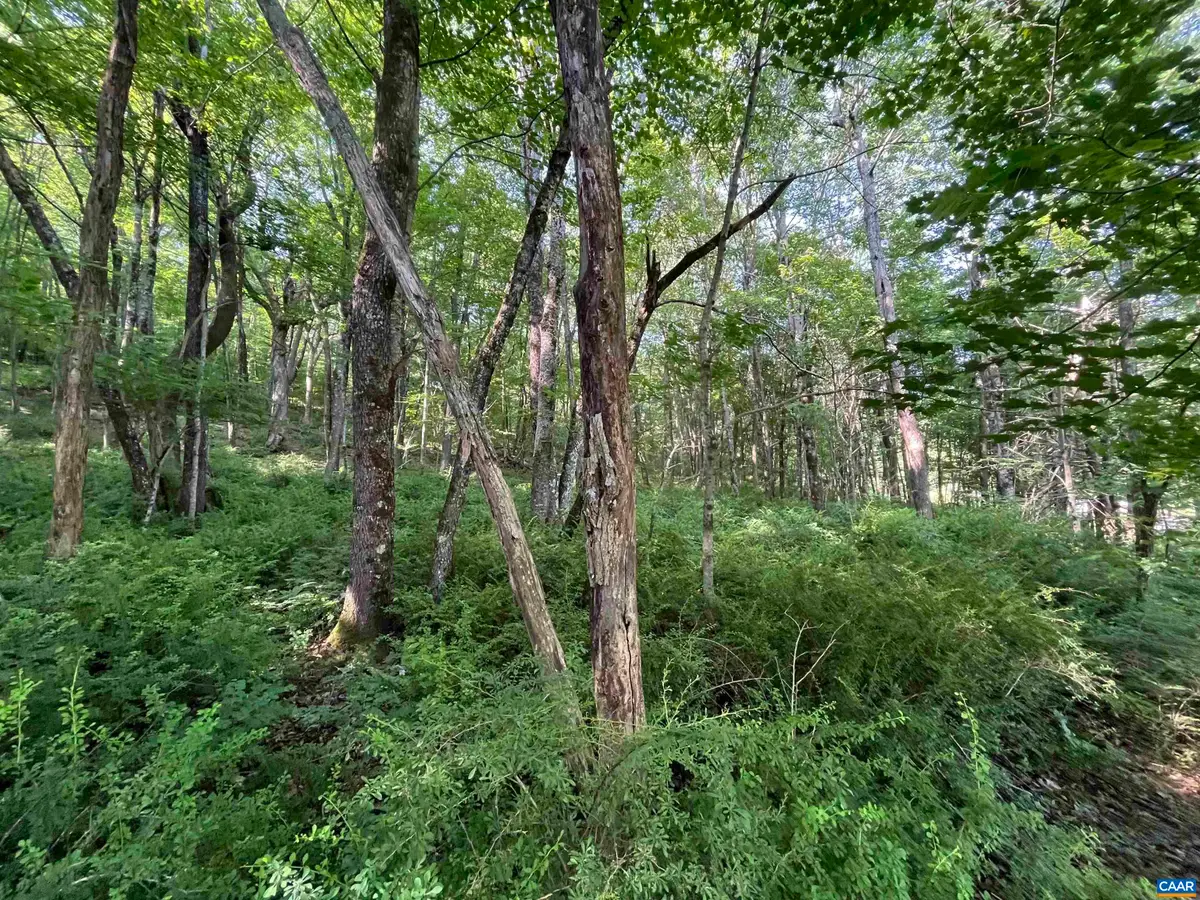 TBD Fish Hatchery Ln, Montebello, VA 24464 - #1