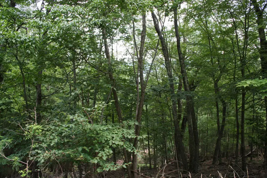 41 High Valley Dr S, Monterey, VA 24465 - Image #2