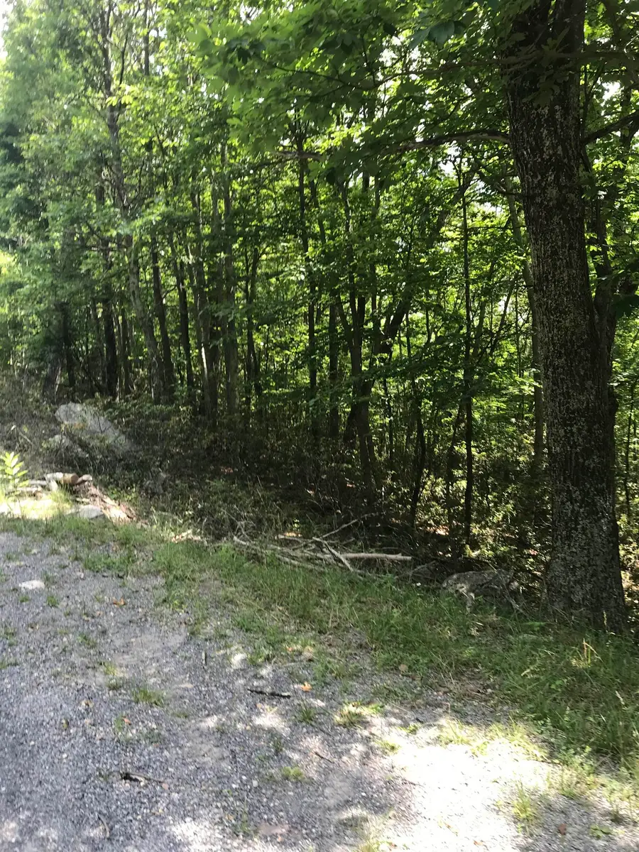 High Valley North N, Monterey, VA 24465 - Image #3