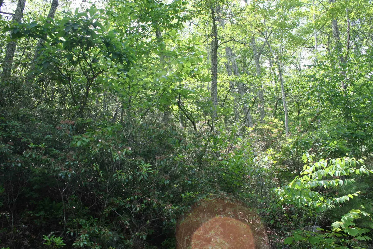 42 High Valley South, Monterey, VA 24465 - Image #1