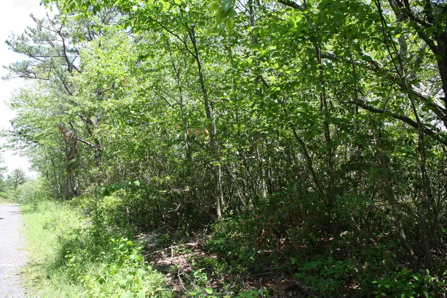 42 High Valley South, Monterey, VA 24465 - Image #3