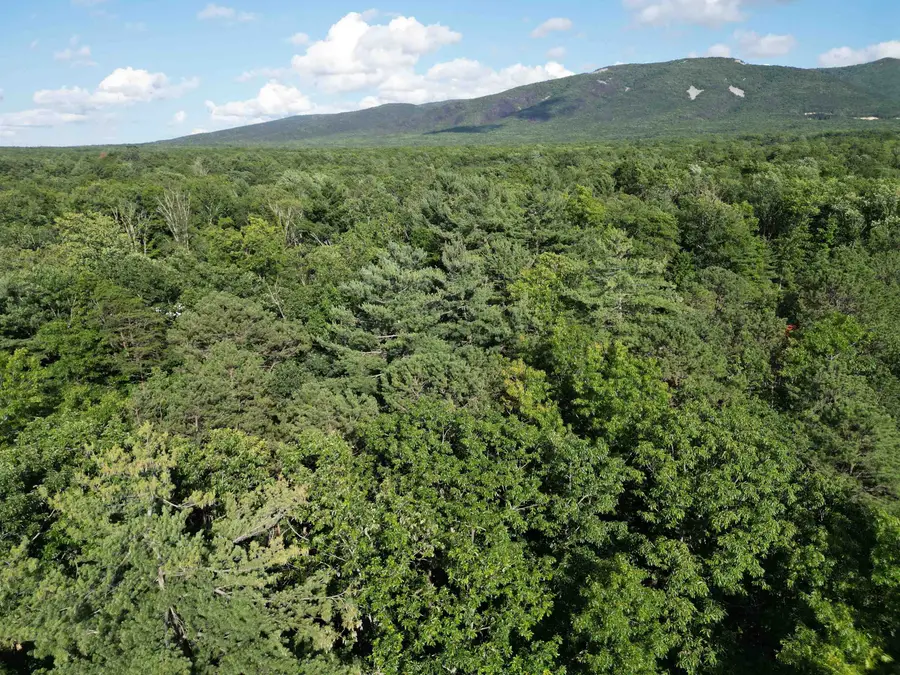 TBD Cold Springs Rd, Greenville, VA 24440 - Image #3