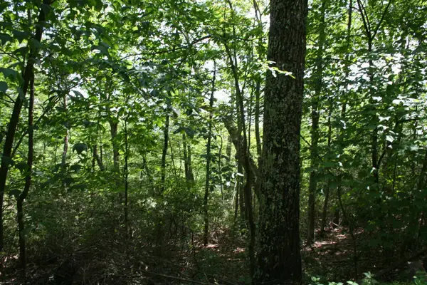 43 High Valley South, Monterey, VA 24465