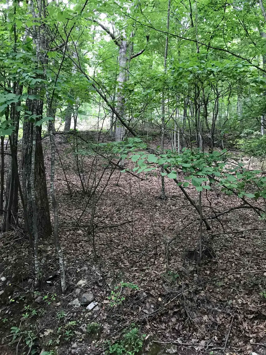 43 High Valley South, Monterey, VA 24465 - Image #2