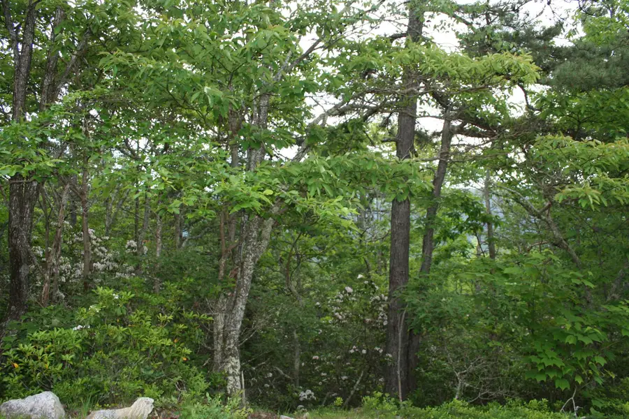 43 High Valley South, Monterey, VA 24465 - Image #3