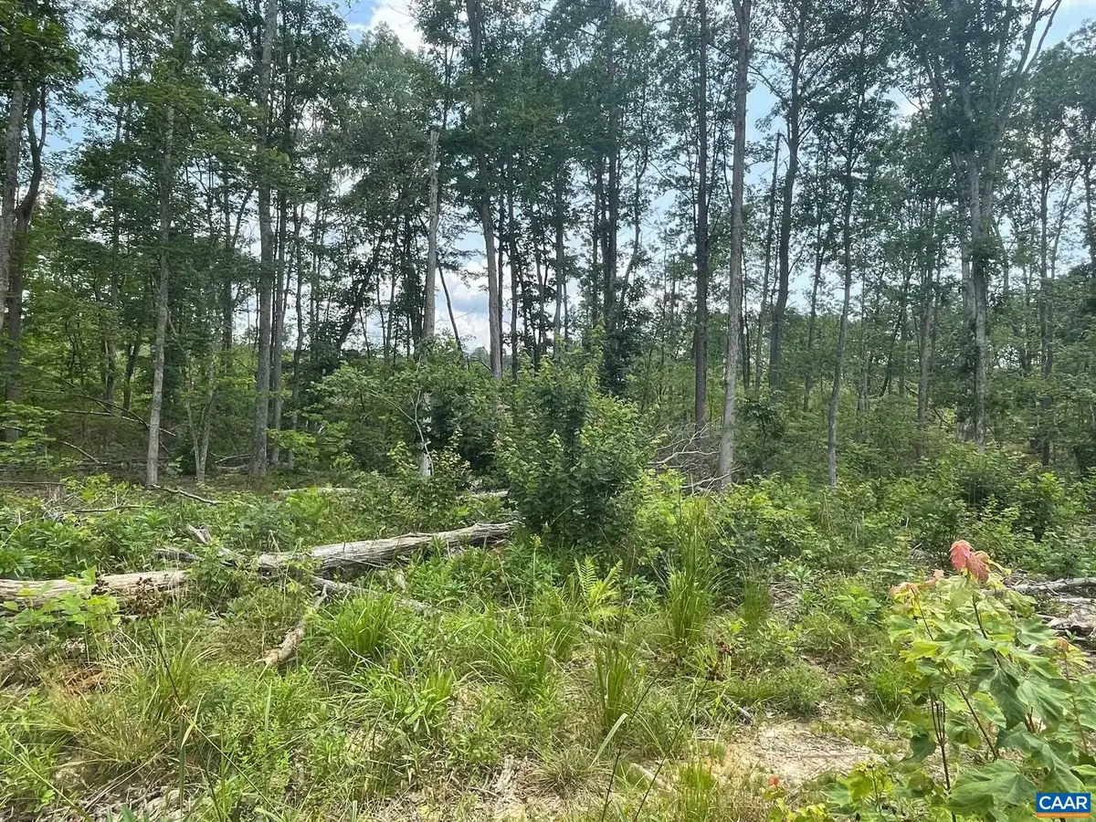 Passante Sr Ln, Gordonsville, VA 22942 - Image #1