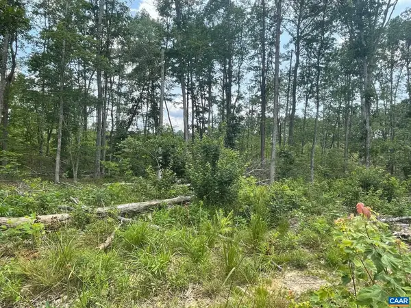 Passante Sr Ln, Gordonsville, VA 22942